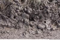 photo texture of soil mud